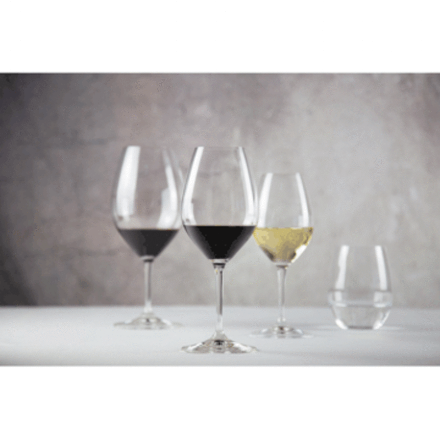 Wine Friendly White Wine/Champagne Glass Set of 4 image 3